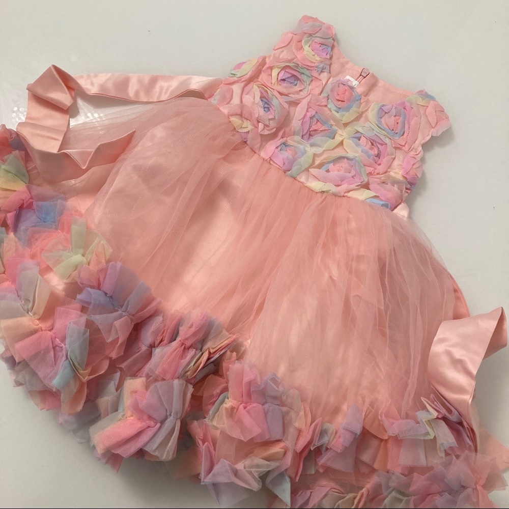 Luxury Embroidered Flower Girl Piano Dress Princess Birthday Wedding 5055 - Picture 6 of 16